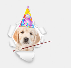 Poster - Golden retriever puppy wearing  party cap looking through the hole in white paper and points away on empty space