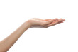© artmim - Empty open female palm hand isolated on white background. Advertising marketing or product placement concept