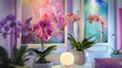 Orchid flowers in pots in neon light in a modern interior. The concept of fresh flowers in the interior of the office and home