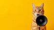 Cute cat holding a loudspeaker in her paws for an announcement with empty space for your text
