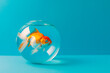 Goldfish in aquarium on blue background, copy space