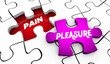 Pleasure Vs Pain Puzzle Pieces Feel Better Good Feelings 3d Illustration
