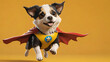 Dog in super hero costume