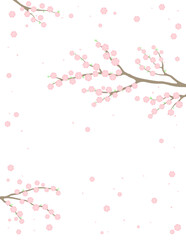  Cherry, apple, plum blossoms, fruit tree branches in bloom, pink spring flowers on transparent background, copy space. Flat style vector illustration. Design concept seasonal poster, banner, promotion