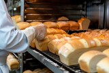 Fototapeta  - bakery worker arranging loaves of bread for the oven