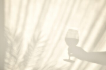 Abstract shadows from curtains and a silhouette of a hand holding a glass of wine.