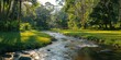 Tranquil nature view featuring meandering river through lush grassy landscape beauty with green trees and clear water ideal for capturing essence of peaceful outdoor environments of forest parks