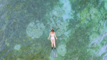 Wall Mural - Ocean, coral reef and woman swimming from drone with water, nature and tropical island holiday. Diving, adventure and relax, girl snorkelling on summer travel vacation at sea in morning from above.