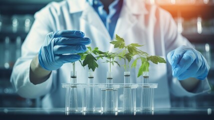 Poster - Close-up of a scientist's hand holding a test tube with tomato seedlings in the laboratory. The concept is a scientific experiment, New varieties of vegetables, Quality control of greenhouse seedlings
