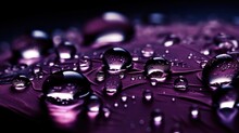 Purple Water Drops On Black Background
