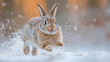 close up wildlife photography, authentic photo of a cute bunny or rabbit in natural habitat, taken with telephoto lenses, for relaxing animal wallpaper and more