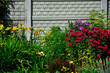 Pysznogłówka, liliowce i floksy wiechowate w ogrodzie, Monarda didyma, Hemerocallis, Phlox paniculata, ogród kwiatowy, ogród z kwitnącymi byliami, colorful flowerbed, flowers garden, flower perennial