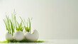 © Jasmina - Spring grass sprouting next to the plants in egg shells