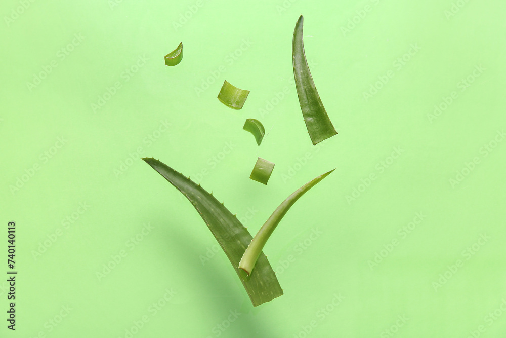 Flying cut aloe leaves on green background