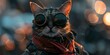 A feline donning protective gear for battle and adventure. Concept Feline Warrior, Adventure Gear, Battle Cat, Warrior Costume, Feline Armor
