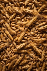 Poster - Detailed view of a bunch of wheat, suitable for agricultural concepts