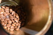 Beautiful brown coffee beans, abika beans, rabusta beans poured into a metal jar.