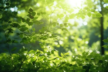 Aufkleber - Sunlight filtering through lush green foliage. Ideal for nature-themed designs
