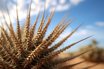 Poster - A close-up of a cactus plant in the desert. Perfect for nature or desert-themed designs