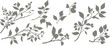 © Feodora_21 - Set of silhouettes of branches and leaves. Hand drawn vector botanical elements