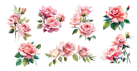 Wall Mural - Set of Gorgeous Pink roses compositions. Watercolor illustrations isolated on white background. Floral design elements, corner, border, arrangement for cards, invitations. June birth month flowers.