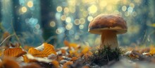 A Bay Bolete Mushroom Sits On The Ground In A Forest, Captured With An Art Lens That Creates Swirling Bokeh.