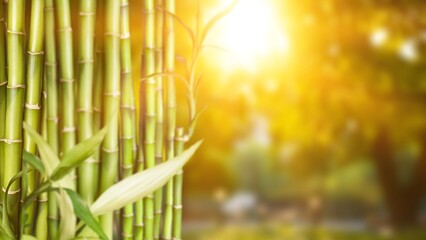 Poster - Sugar cane green plant plantation