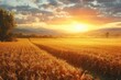 Golden wheat dances in the evening sky, as the farmer's hard work and nature's beauty collide in a bountiful harvest on the endless prairie horizon