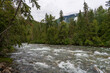 Beautiful river flows through forest, British Columbia, Canada