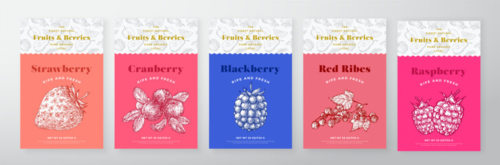 Wall Mural - raspberry berries and fruit pattern label templates set. vector packaging design layout collection. 