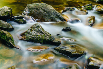 Canvas Print - Stillness