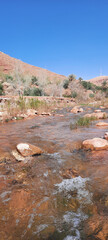 Wall Mural - the river in the mountains