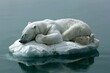Polar bear stranded on a shrinking ice floe