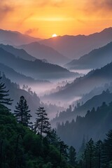 Wall Mural - Vibrant sunrise radiant sunbeams piercing through misty mountain ranges and trees