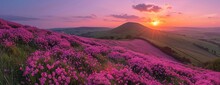 Pink Wildflowers On Sunset Behind Mountainous Background
