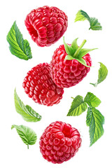 Wall Mural - Four delicious flying raspberries with leaves isolated on white background