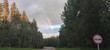 Summer rainbow over the trees. Light blue sky with white-gray cumulus clouds. A rainbow glows in the sky, and a forest with green leaves on the trees grows underneath it.