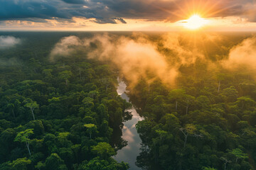 Wall Mural - Amazon Aerial Symphony: A Mesmerizing Sunset Over the Vast Amazon Rainforest, Unveiling the Rich Biodiversity of Brazil, Peru, Colombia, and Other Amazonia Countries