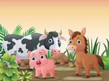 Fototapeta Dinusie - Cute farm animals cartoon in the jungle