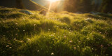 Fototapeta Tęcza - Alpine meadow is a lovely natural setting. Sunbeams in close up on grass Stunning natural scenery