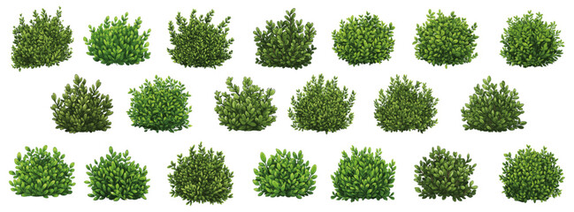 Wall Mural - set of green  bush grass shrub vector transparent background.