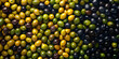 Koroneiki olives, washing and cleaning process, extra virgin olive oil extraction process in olive oil mill in Kalamata