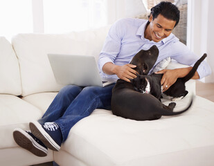 Wall Mural - Man, dog and happiness with laptop on sofa for bonding, playing and face with remote work in home. Animal, person and comfort with smile on couch in living room for research, cuddle or love for puppy