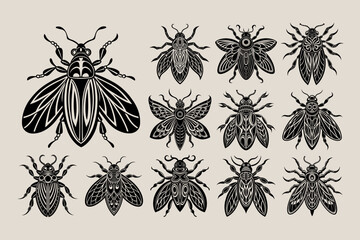 Collection of flat bug illustration design