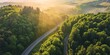 A panoramic view of a highway meandering through a dense, green forest with early morning mist. Rays of sunrise filter through the trees