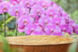 canvas print picture - Empty old tree stump table top with blur orchid garden background for product display