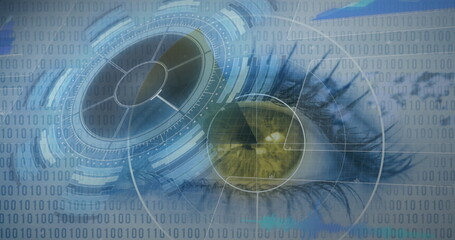 Poster - Image of scopes scanning over human eye