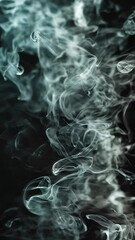 Poster - Transparent smoke shapes against black background