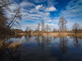 Fototapeta Londyn - Wadag River. Reflection of trees in the water