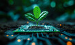 Sustainable Technology Concept with a Young Plant Growing from a Circuit Board, Symbolizing Eco-Friendly Innovation and Green Tech Solutions